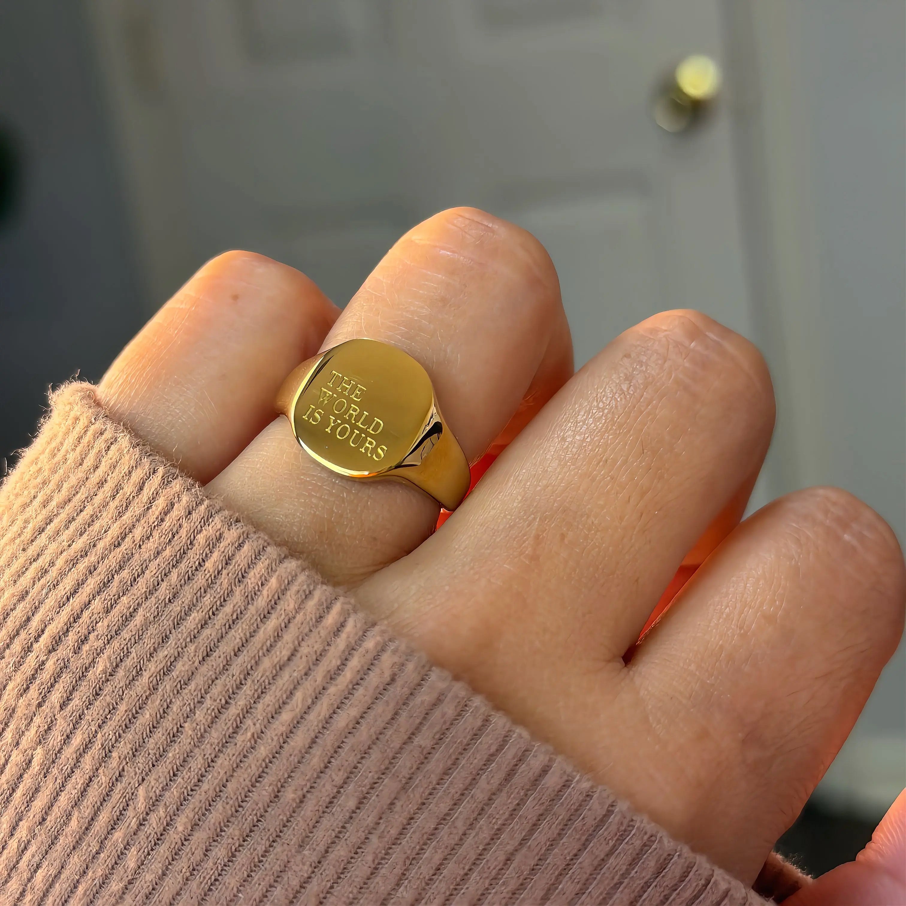 The World is yours Ring